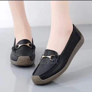 Ladies Smart Simple Shoes
