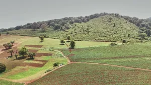 *2,000 Acres Investment Farms for Sale in Ol Molog, West Kilimanjaro*