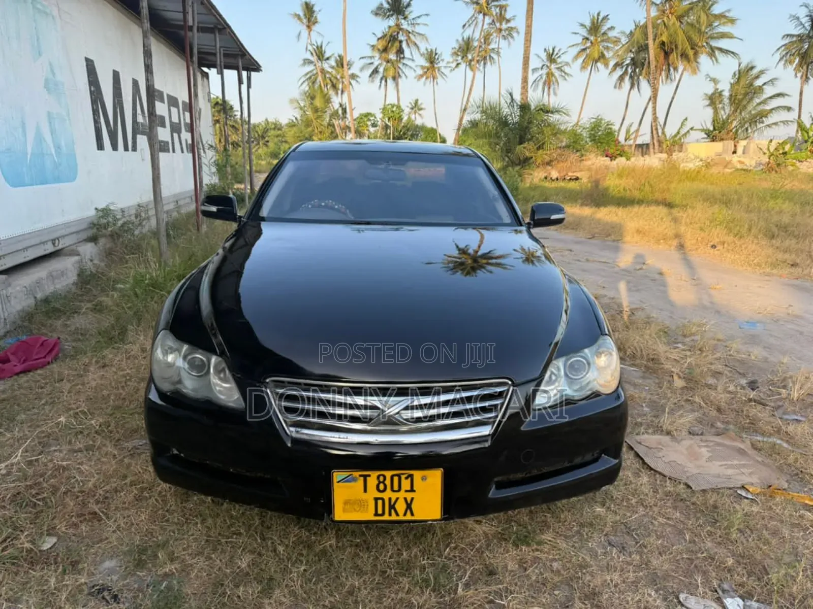 Toyota Mark X 2006 Black