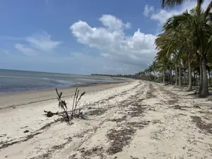 Beach Plort Inauzwa Tanga Eka 5