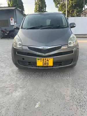 Toyota Ractis 2008 Gray
