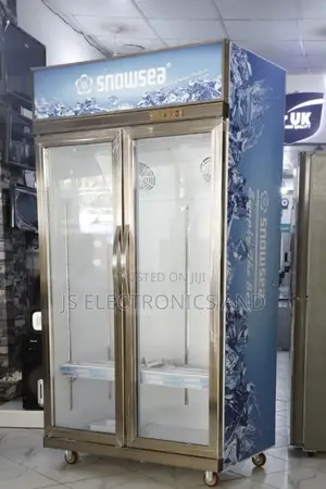 Snowsea Showcase Display Liter 700 Two Door Ina Mataili Chini.
