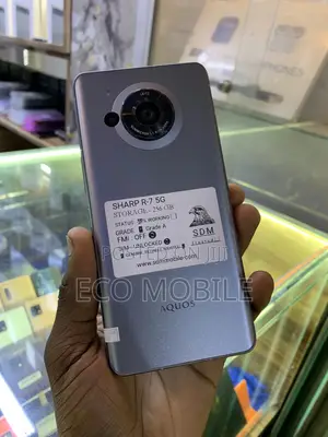 Sharp Aquos R7 256 GB Silver