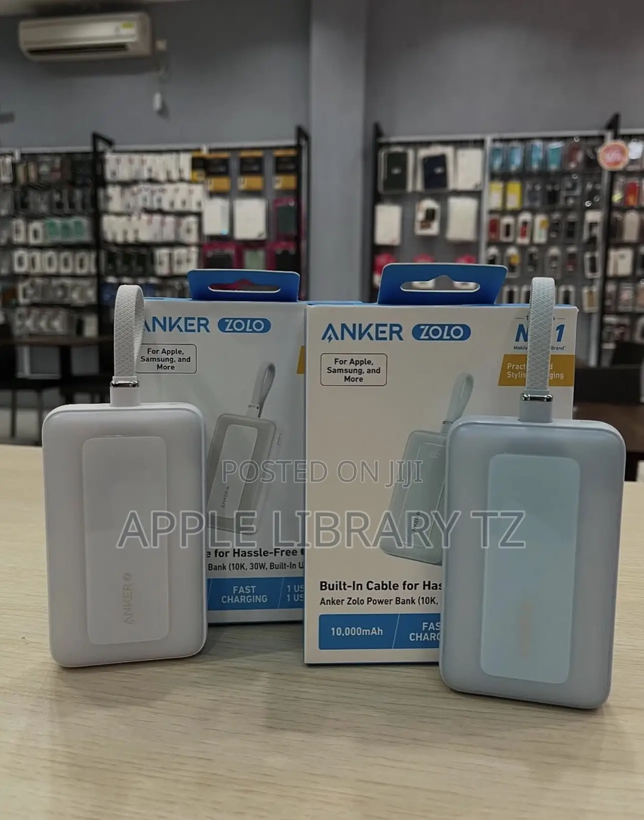 Anker Zolo Powerbank