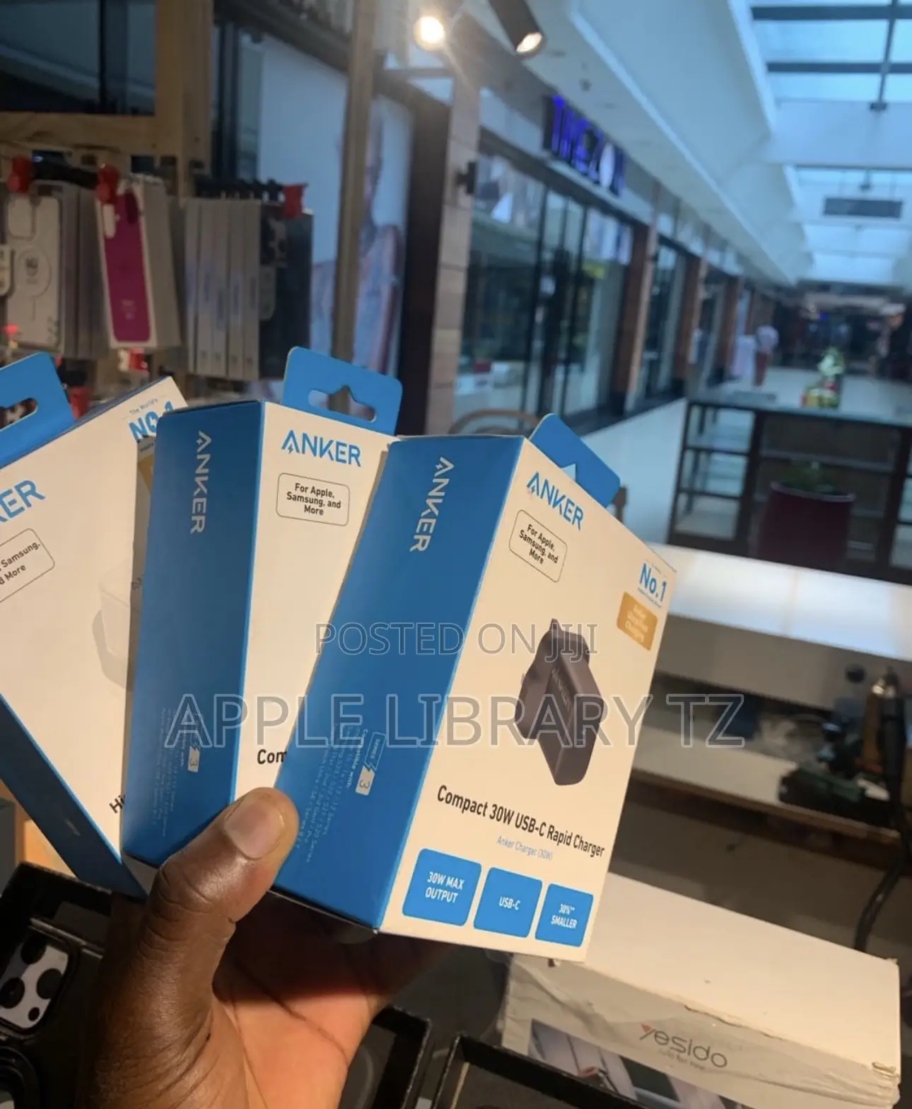 Anker Genuine Adapter