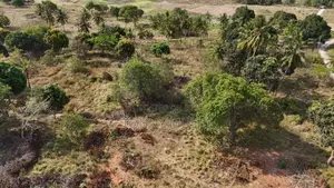 Commercial Property for Sale. Misugusugu Kibaha