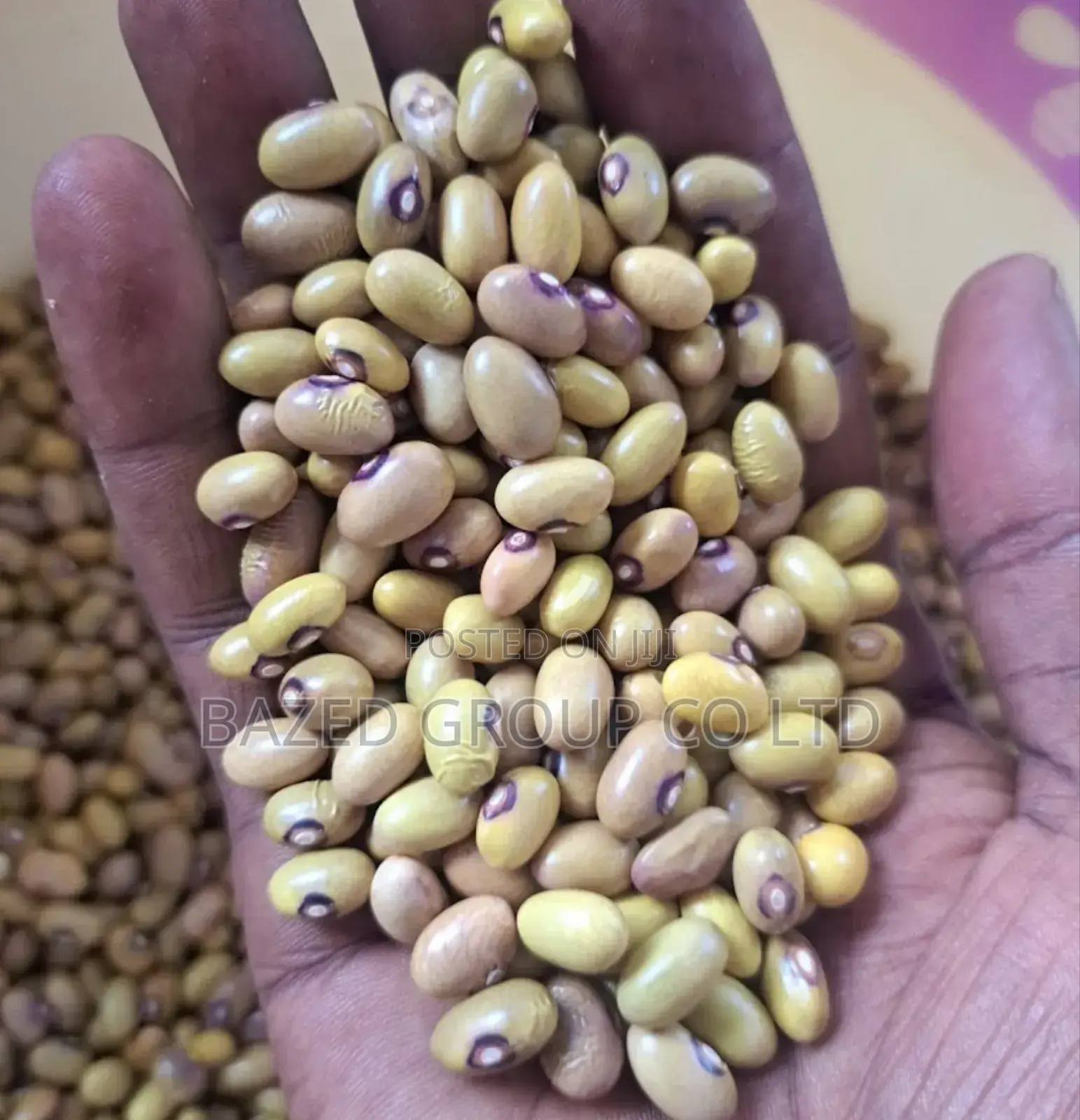 Yellow Beans(Maharage Ya Njano)