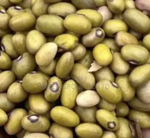 Yellow Beans(Maharage Ya Njano)