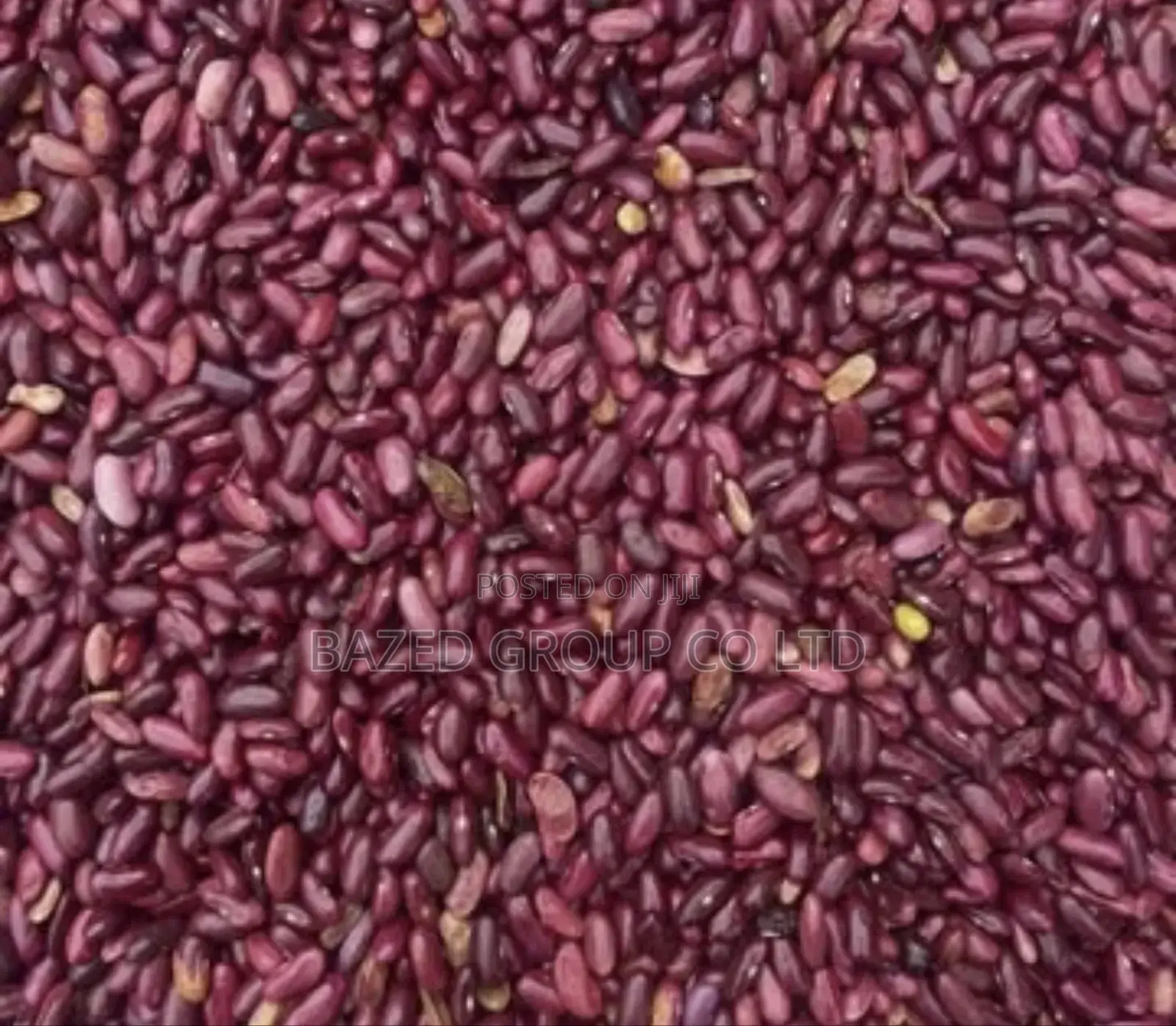 Red Kidney Beans (All Type)