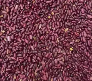 Red Kidney Beans (All Type)