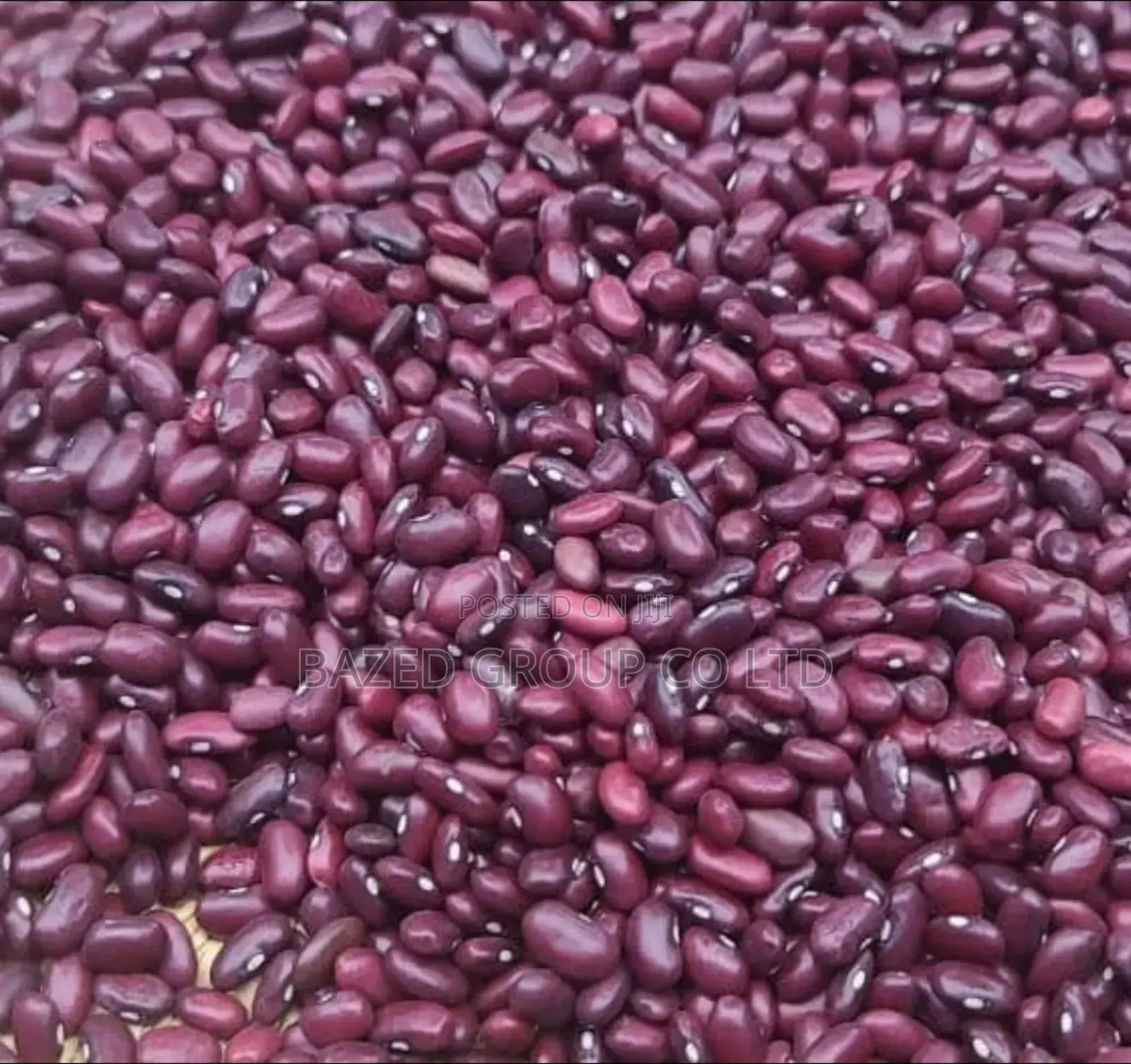 Red Kidney Beans (All Type)