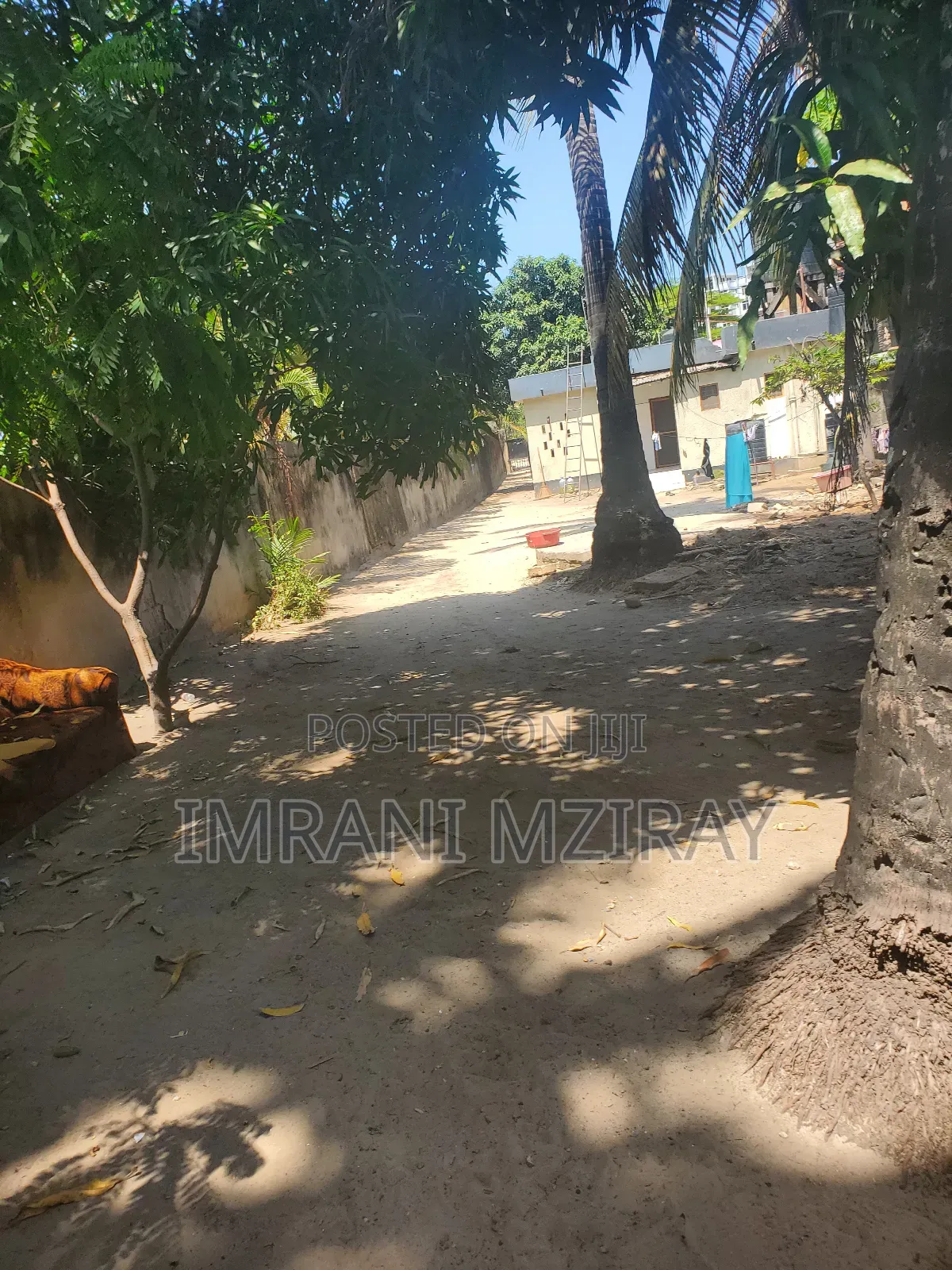 5bdrm House in Msasani for sale