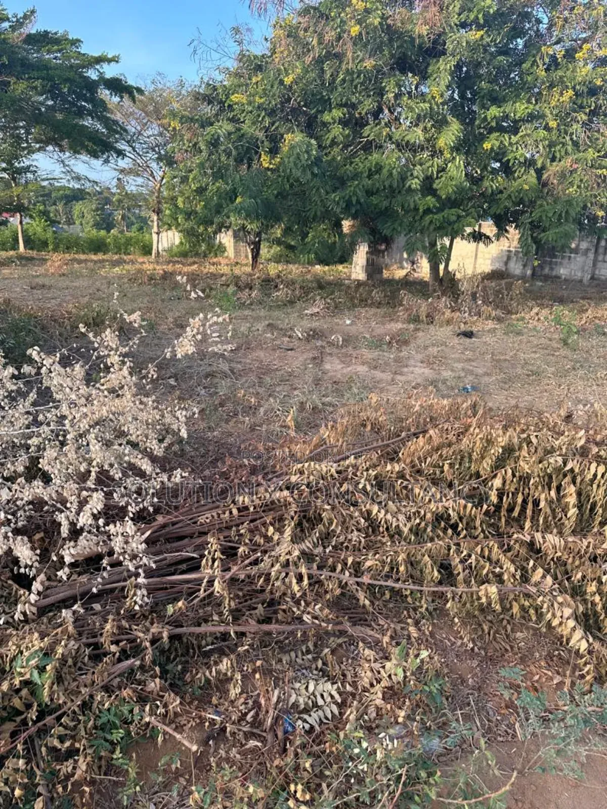 Kiwanja Kinauzwa Bunju a Karibu Na Posto Bela Resort