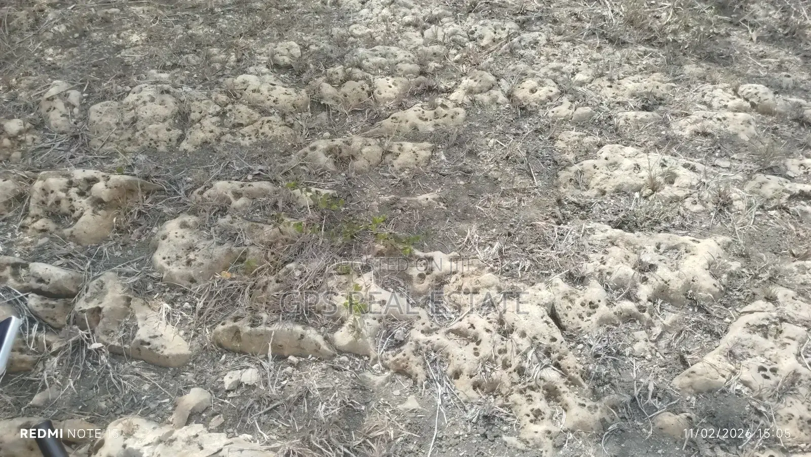 Limestone Land for a Sale