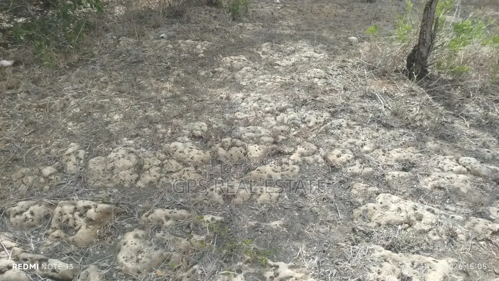 Limestone Land for a Sale
