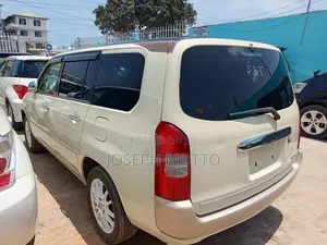 Toyota Succeed 2007 Beige