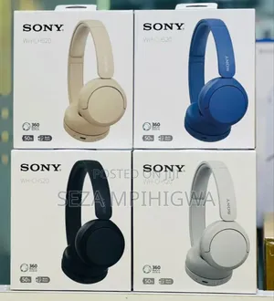 Sony Wh-Ch520