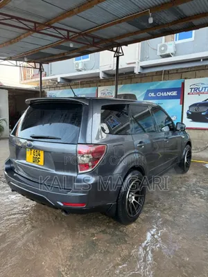 Subaru Forester 2009 Gray