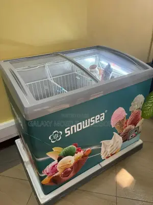 Snowsea Showcase Freezer