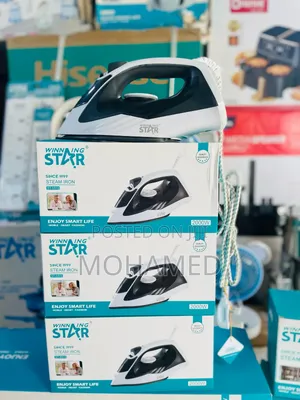 Winning Star Steam Iron 2000w