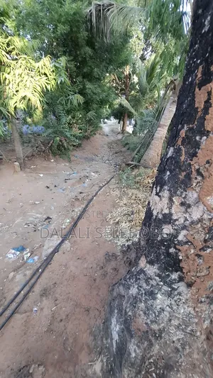 Plot at Ubungo Makoka Very Secure
