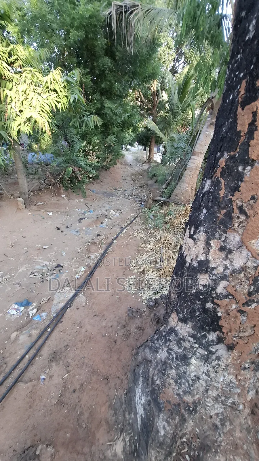 Plot at Ubungo Makoka Very Secure