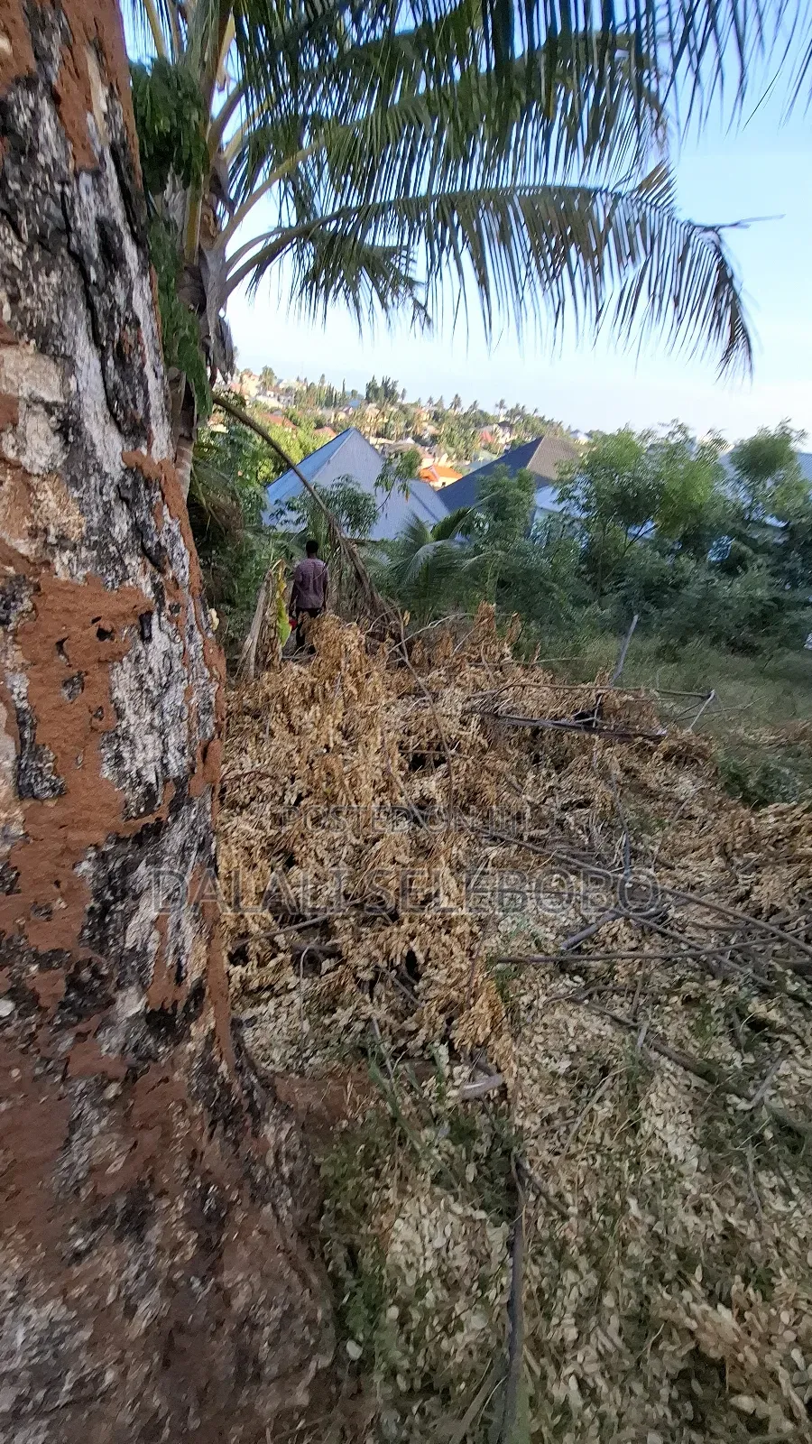 Plot at Ubungo Makoka Very Secure