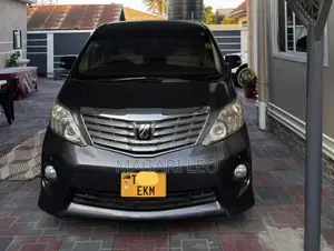 Toyota Alphard 2010 Gray