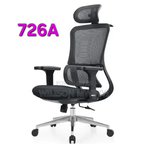 Ergonomic Chair