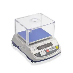 Electronic Precision Balance