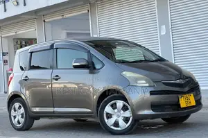Toyota Ractis 2007 Gray
