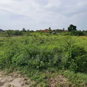 Plott for Sale
