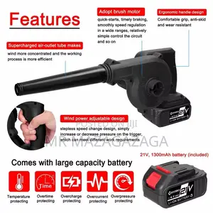 2 in 1 Cordless Vacuum and Blower-Battery 2(48v)