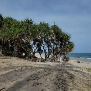 10 Acres Sand Beachplot for Sale