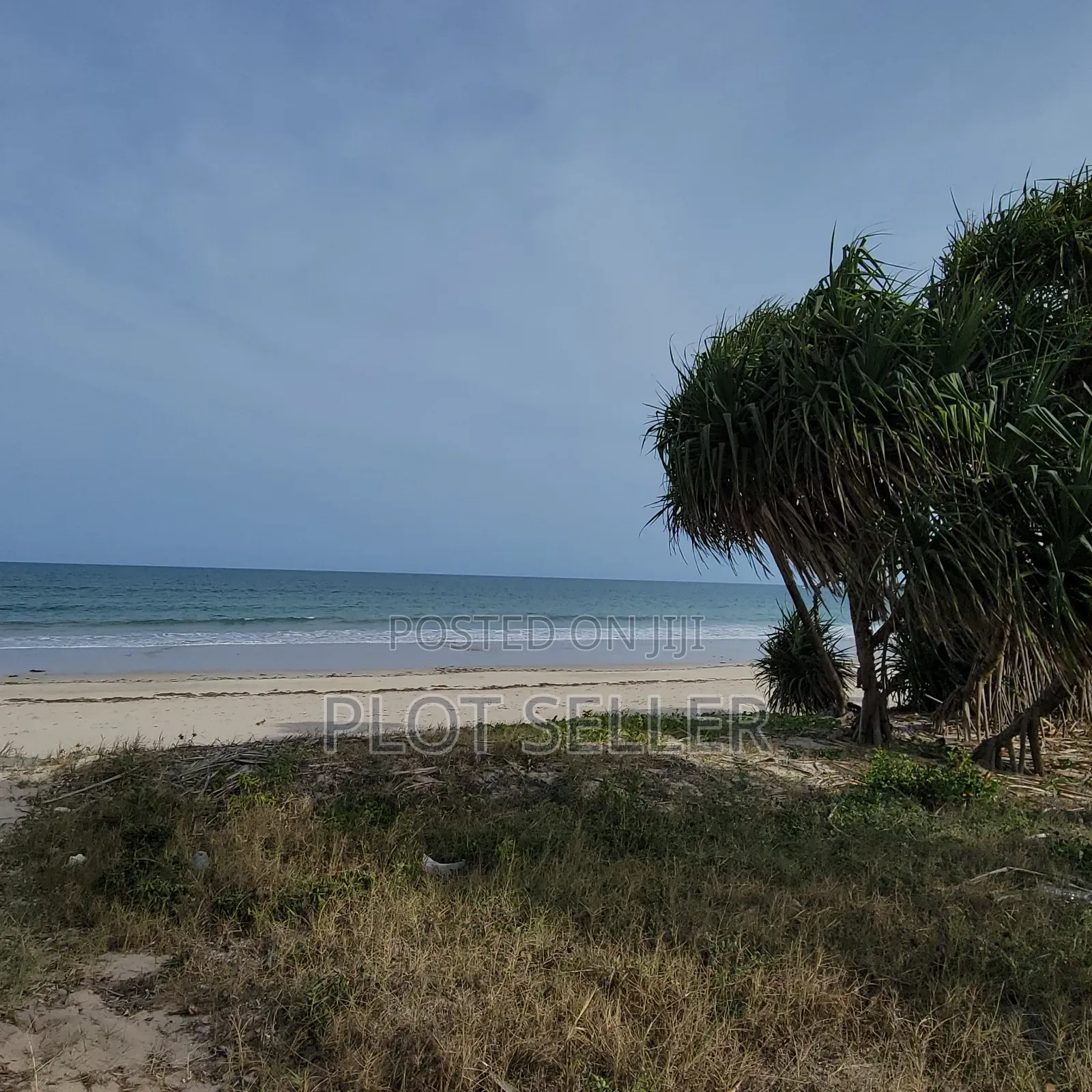10 Acres Sand Beachplot for Sale