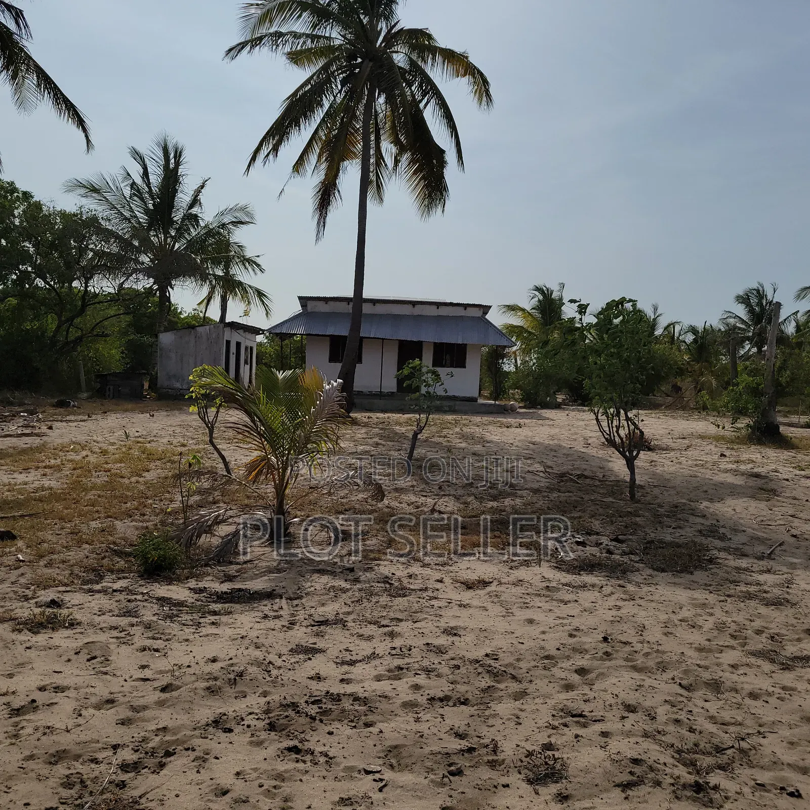 10 Acres Sand Beachplot for Sale