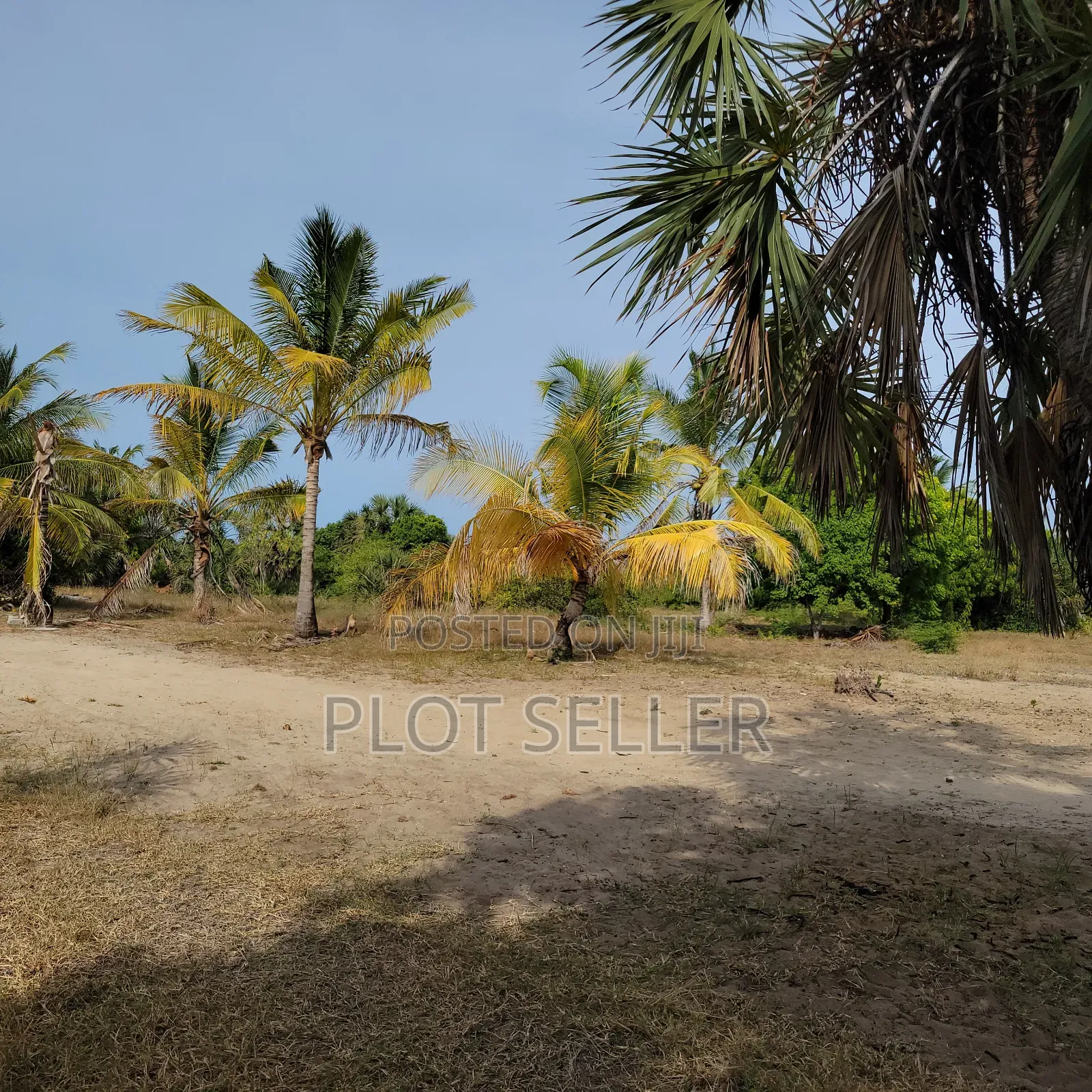 10 Acres Sand Beachplot for Sale