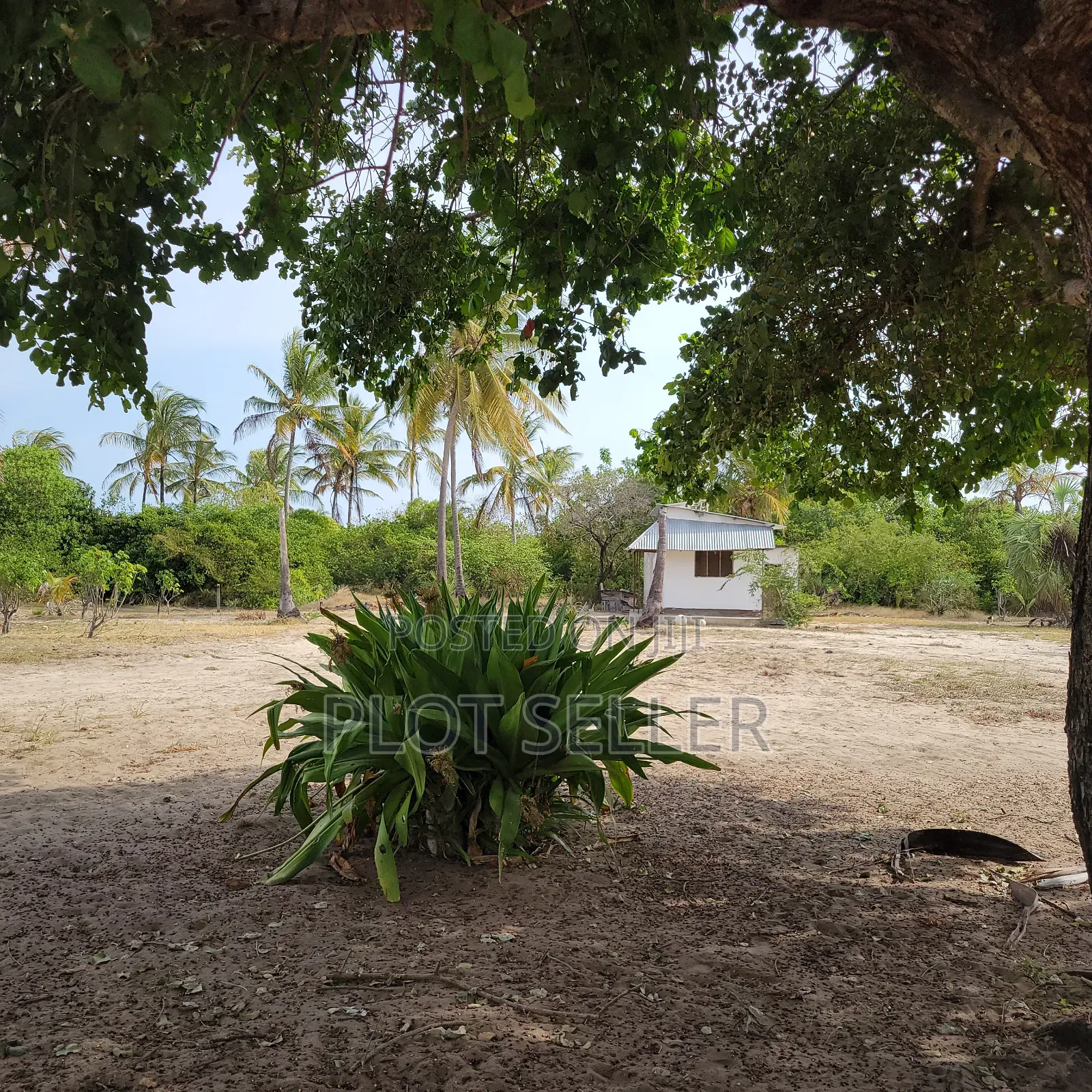 10 Acres Sand Beachplot for Sale