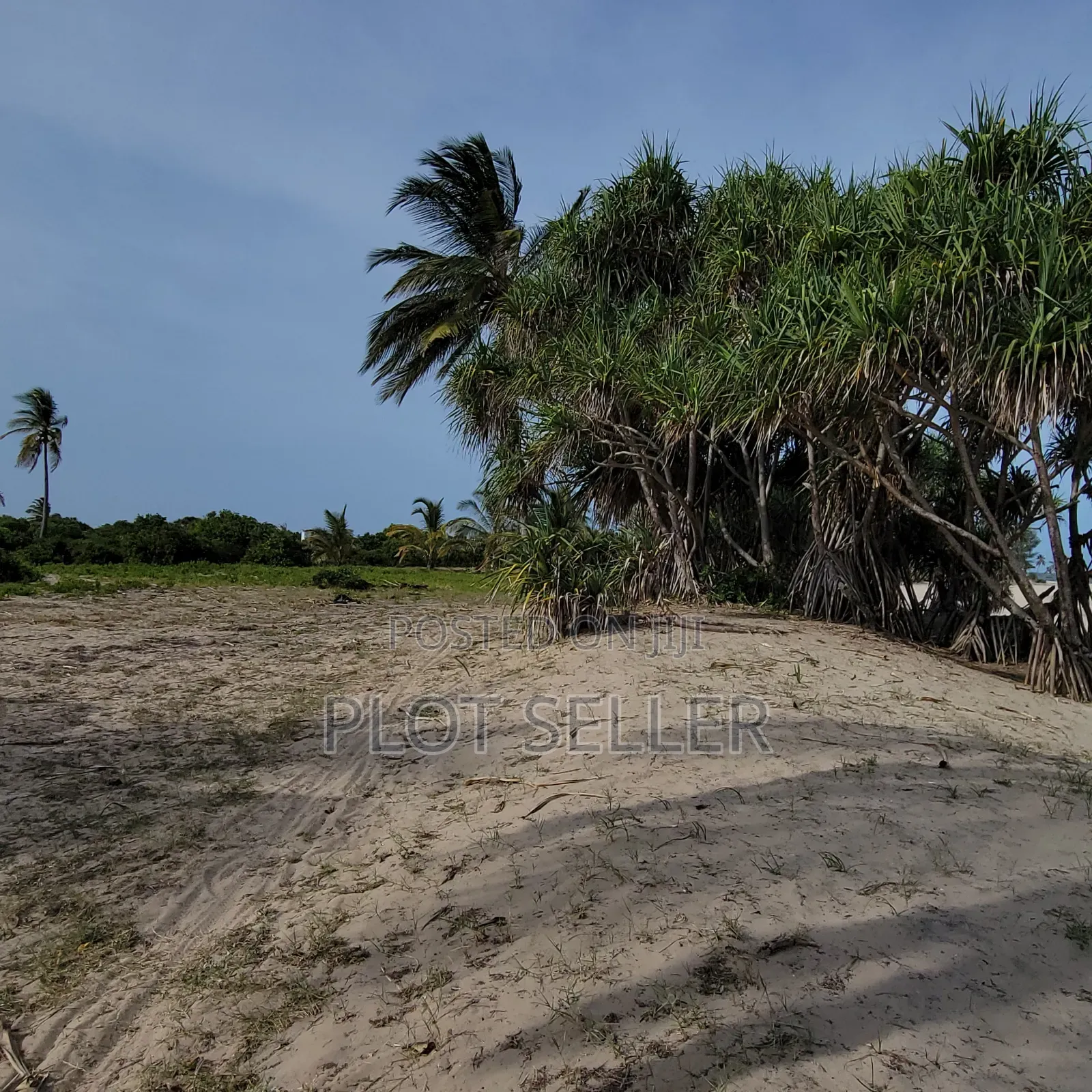 10 Acres Sand Beachplot for Sale