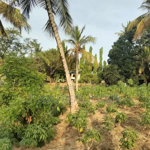 Plot /Farm/House for Sale Salasala Mwisho Wa Lami(1acre)