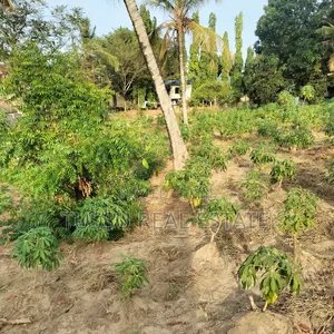 Plot /Farm/House for Sale Salasala Mwisho Wa Lami(1acre)