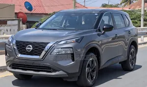 Nissan X-Trail 2024 Gray