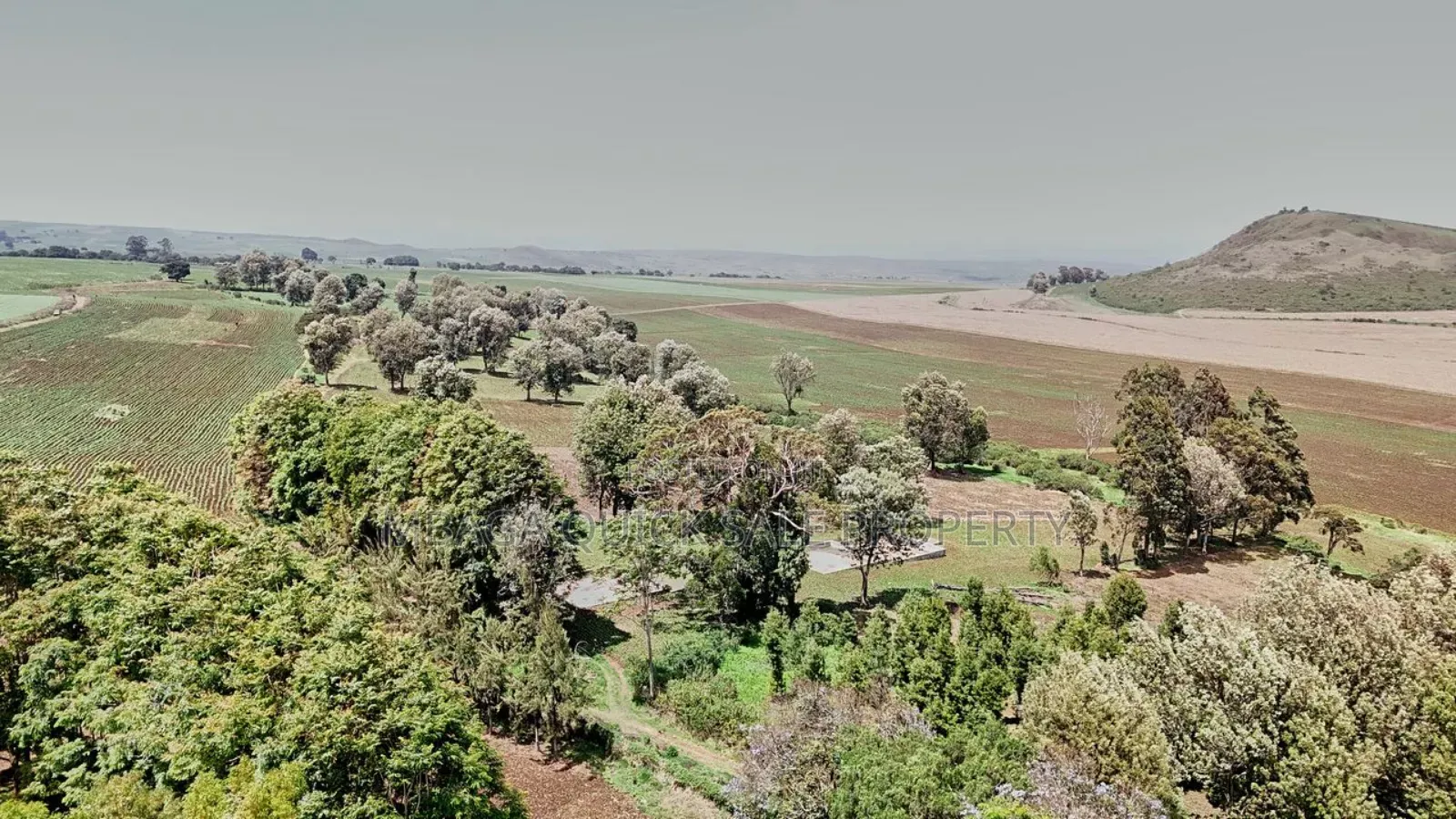 Farm 2000 Acres for Sale at Olmogol West Kilimanjaro