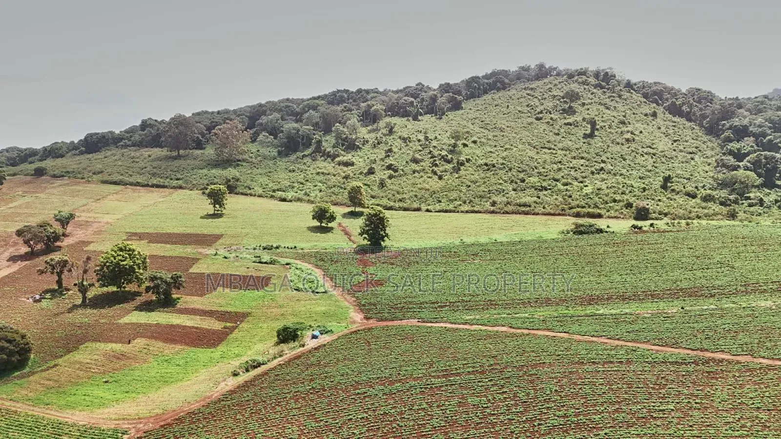 Farm 2000 Acres for Sale at Olmogol West Kilimanjaro