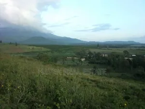 *Eneo La Ekari 9 Lenye View Ya Mlima Meru Linauzwa Olmotonyi, Arusha*