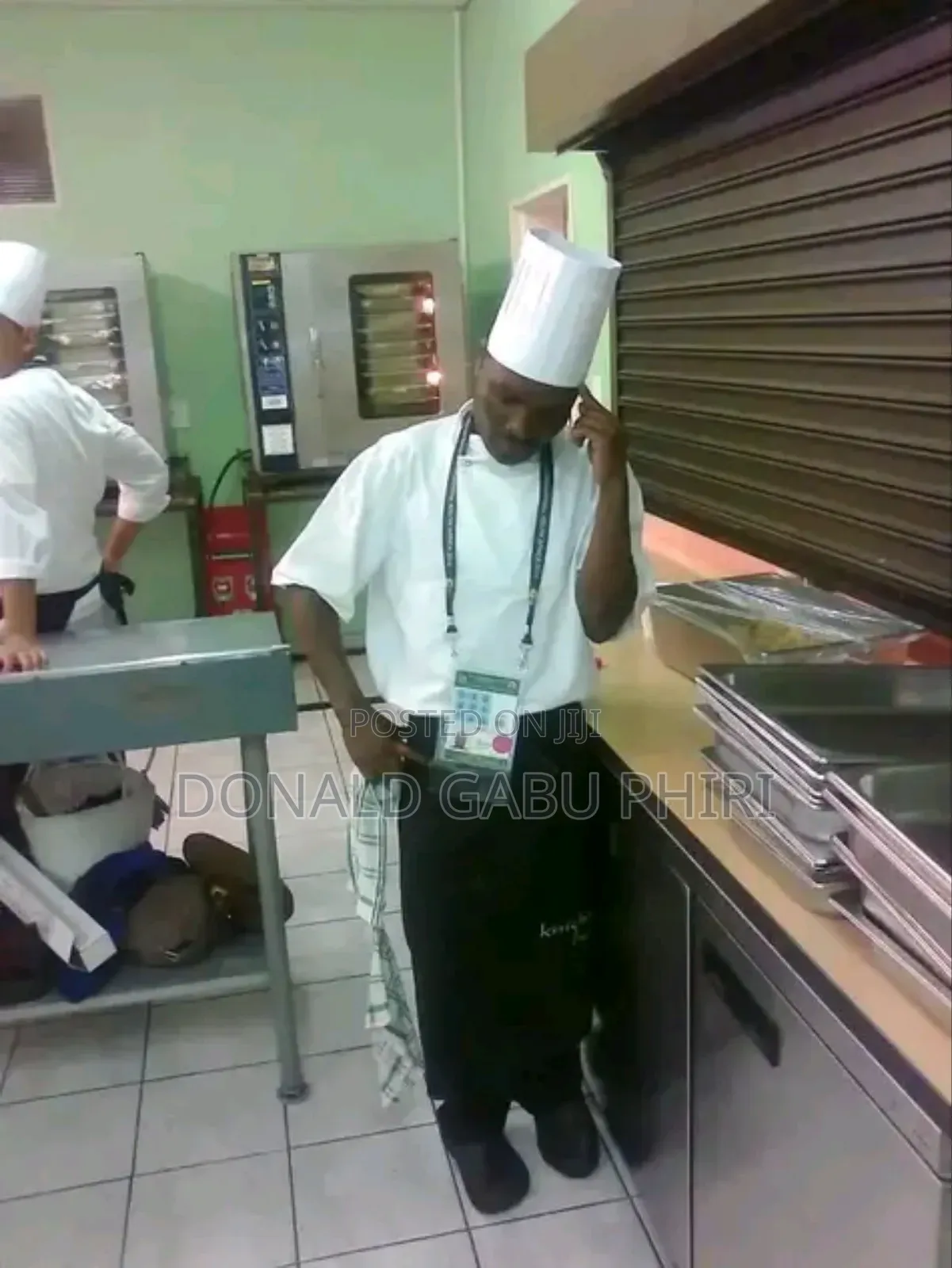 Chef Looking for Work