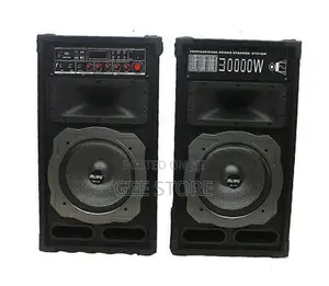 Alitop Profeesional Speaker