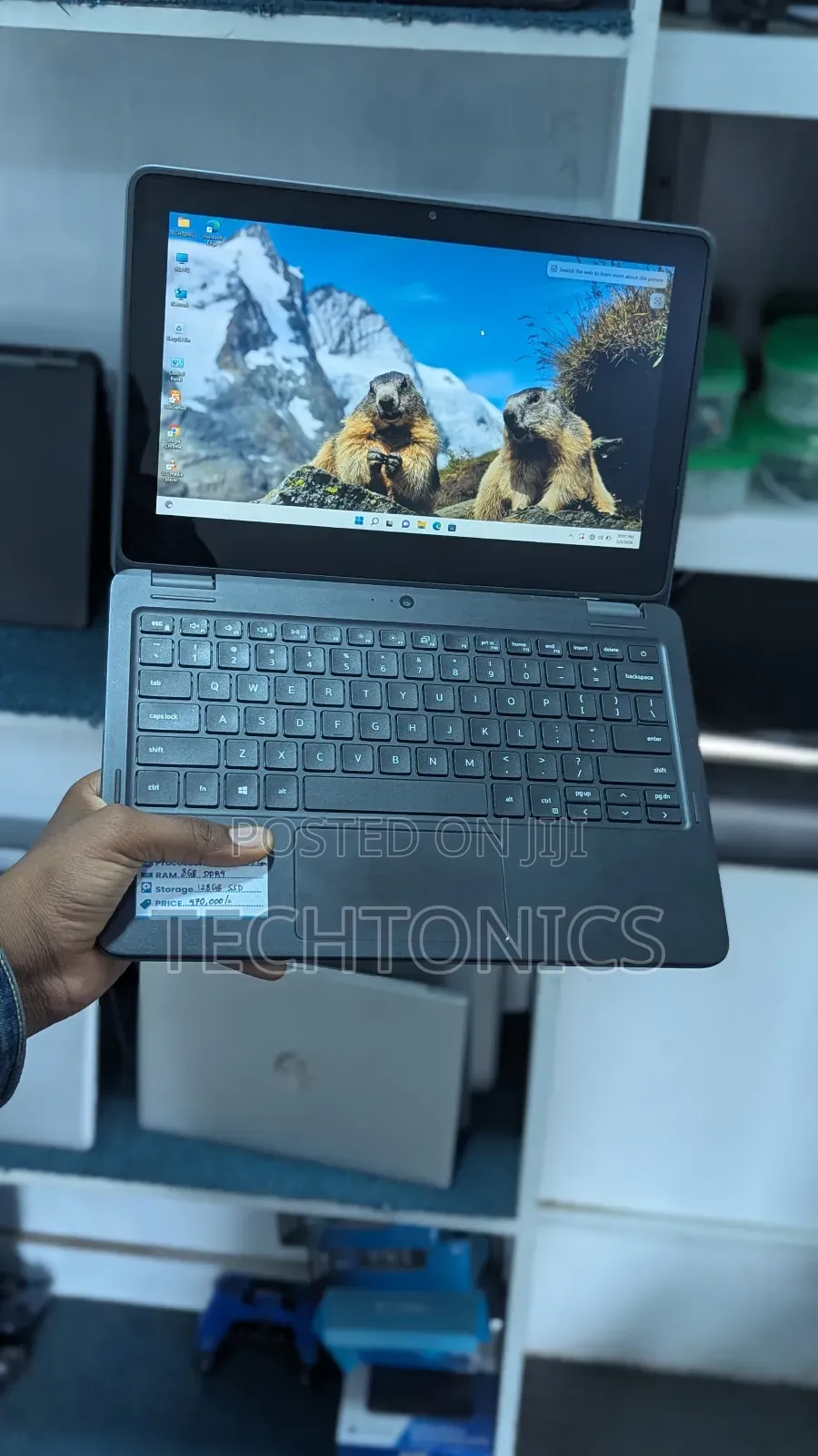 Laptop Dell Latitude 3120 8GB Intel SSD 128GB