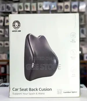 Car Seat Back Cusion
