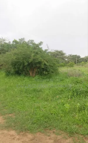 Land for Selling Kwala Dry Port